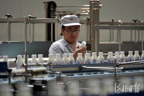 河北青县 打造综合性食品产业基地